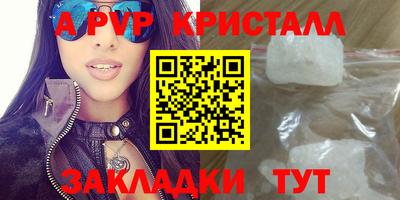таблы Новозыбков